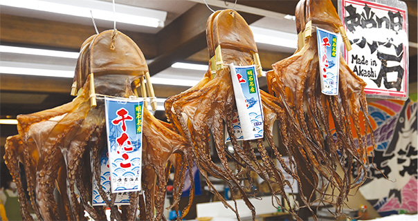 明石干したこ
